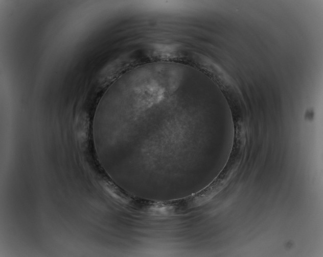 X0000101440760200807141306