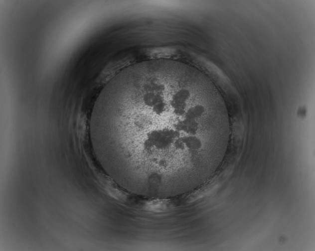 X0000101440761200807141306