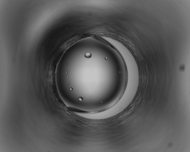 X0000101440762200807141306