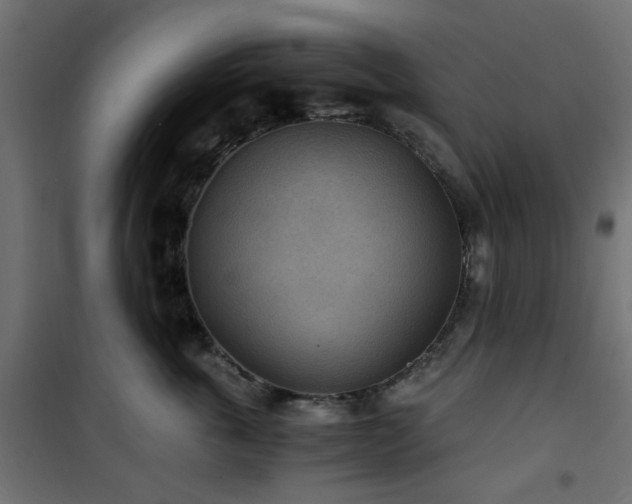 X0000101440763200807141306