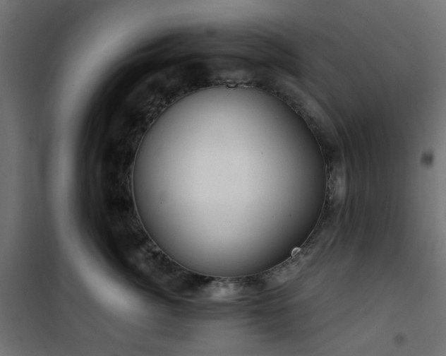 X0000101440764200807141306