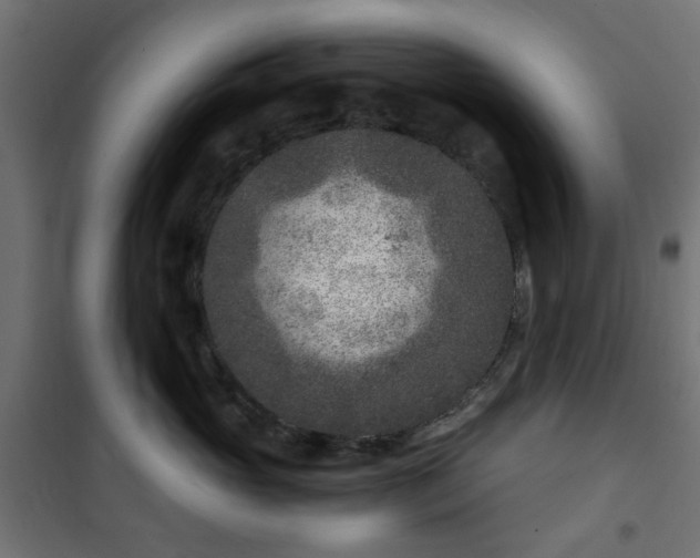 X0000101440765200807141306