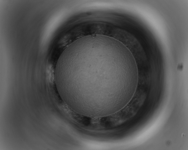 X0000101440766200807141306