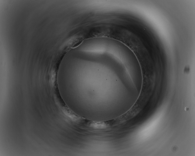 X0000101440767200807141306