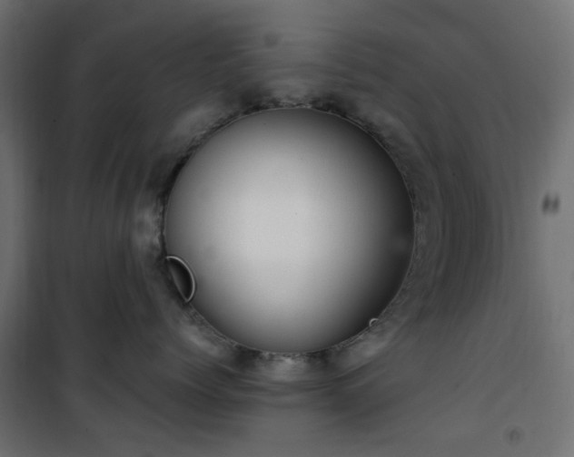 X0000101440768200807141306