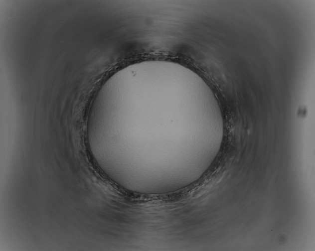 X0000101440769200807141305