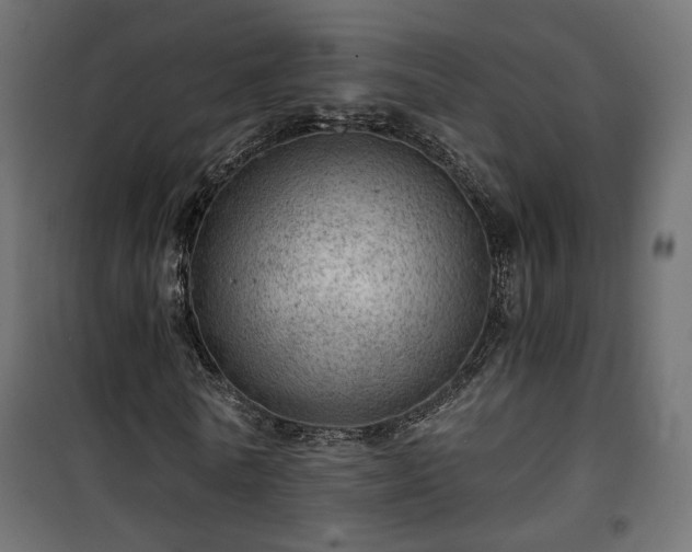 X0000101440770200807141305