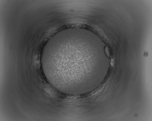 X0000101440771200807141305