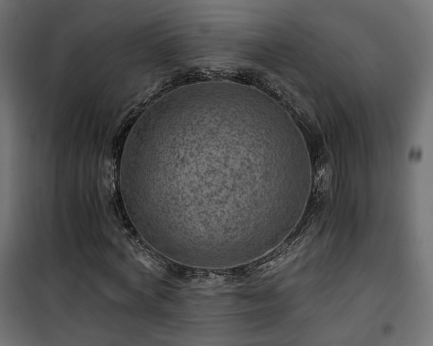 X0000101440772200807141305