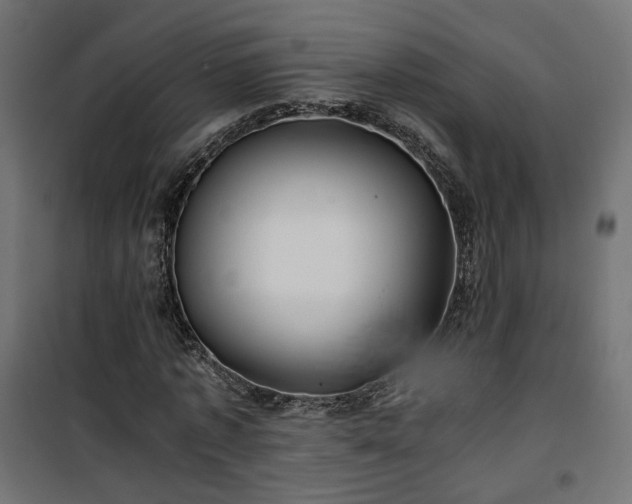 X0000101440773200807141305