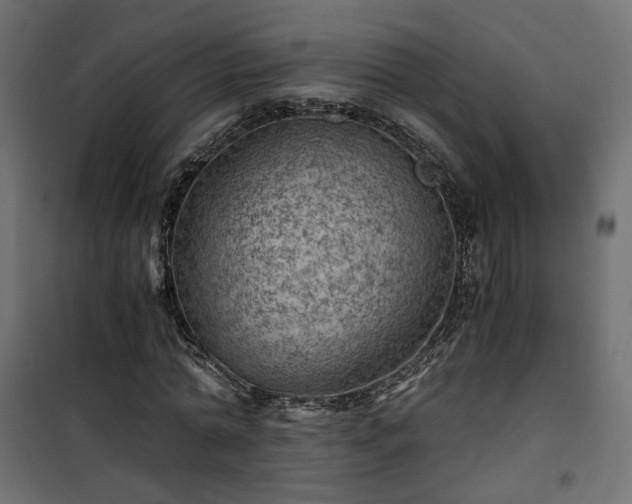 X0000101440774200807141305