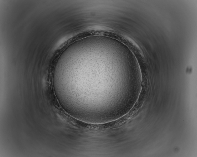 X0000101440775200807141305