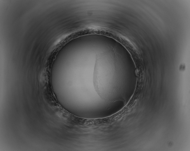 X0000101440776200807141305