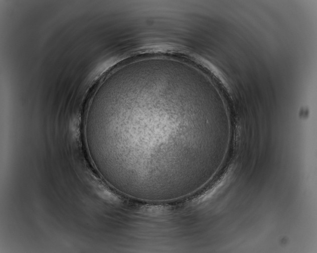 X0000101440778200807141305