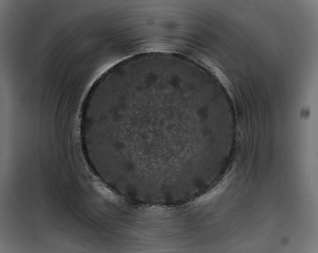 X0000101440779200807141305