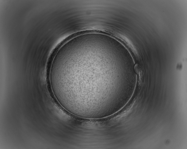 X0000101440780200807141305