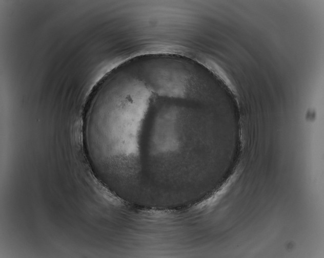 X0000101440781200807141305