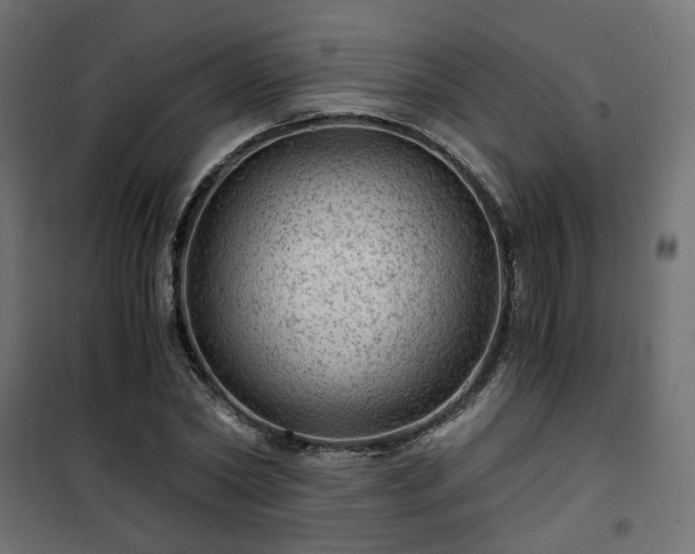 X0000101440782200807141305