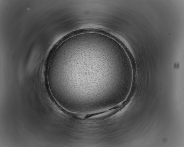 X0000101440783200807141305