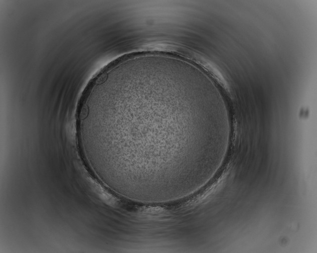 X0000101440784200807141305