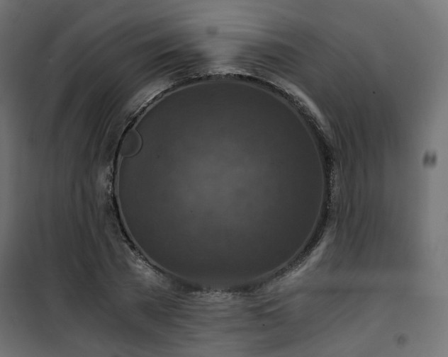 X0000101440785200807141305