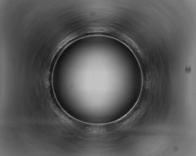 X0000101440786200807141305