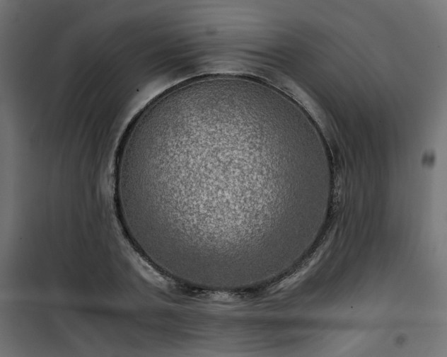 X0000101440787200807141305