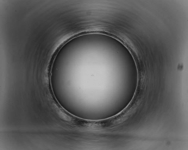 X0000101440789200807141305