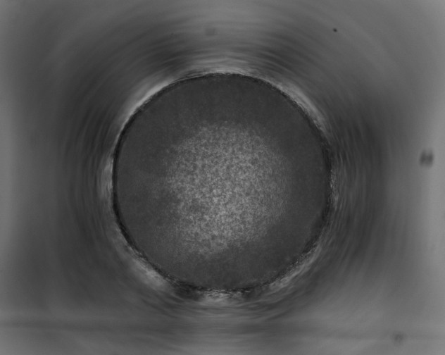 X0000101440790200807141305