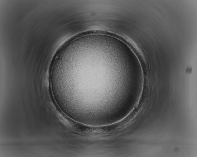 X0000101440791200807141305