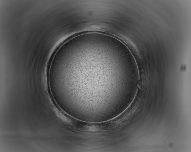 X0000101440792200807141305