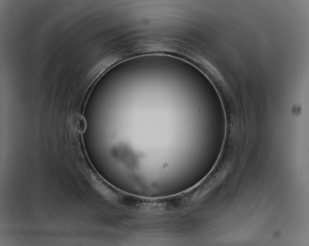 X0000101440793200807141305