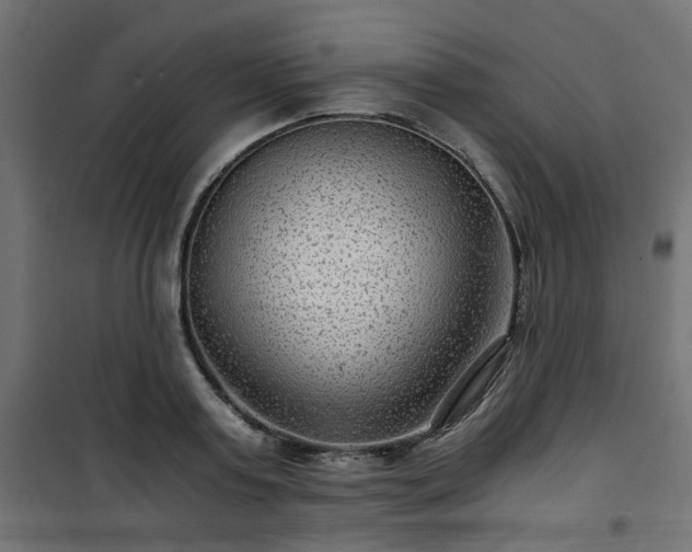 X0000101440795200807141305