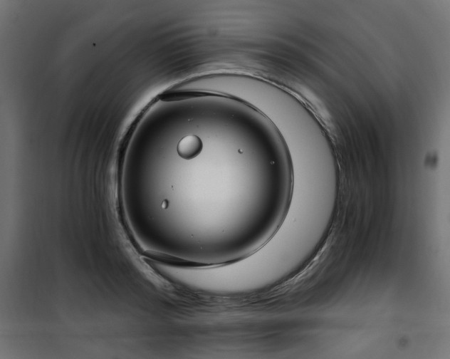 X0000101440796200807141305