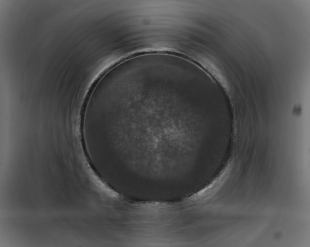 X0000101440797200807141305