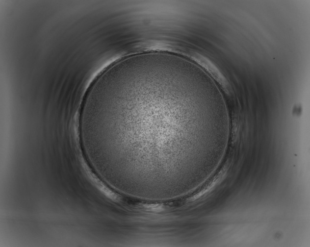 X0000101440798200807141305