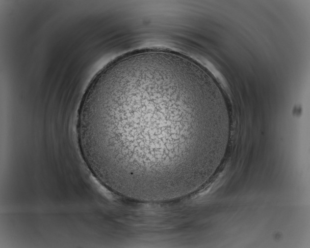 X0000101440799200807141305