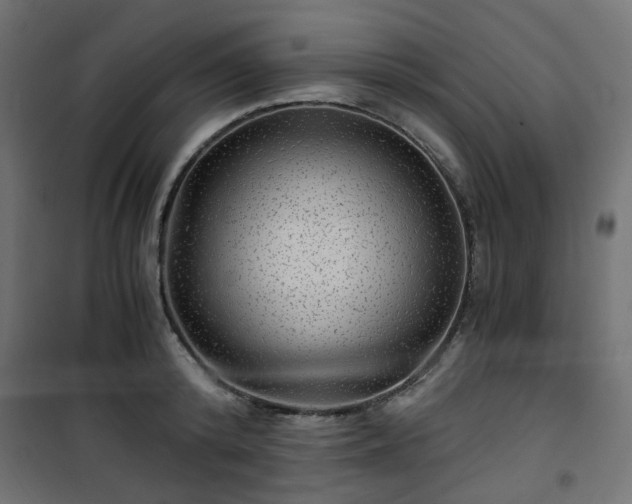 X0000101440800200807141305