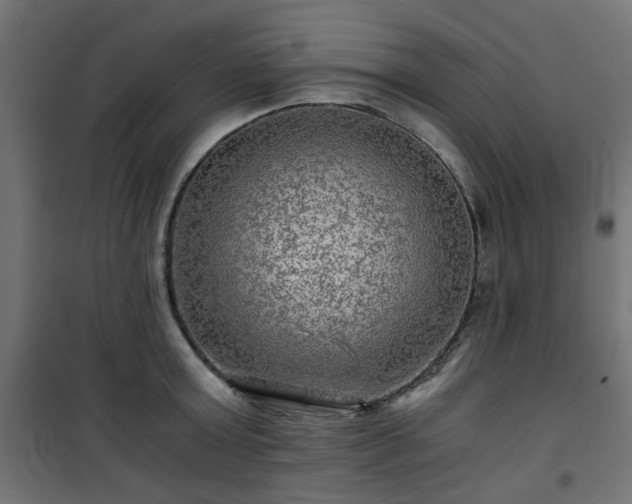 X0000101440803200807141305