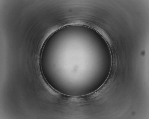 X0000101440805200807141305