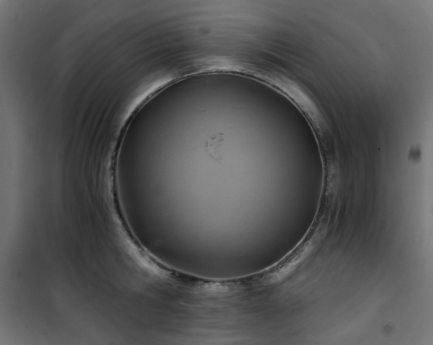 X0000101440806200807141305