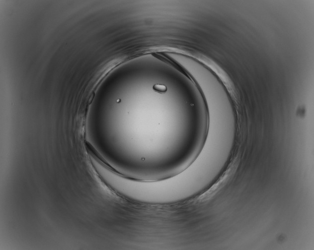 X0000101440809200807141305