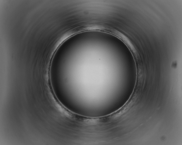 X0000101440810200807141305