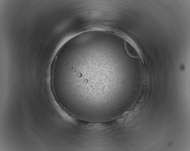 X0000101440811200807141305