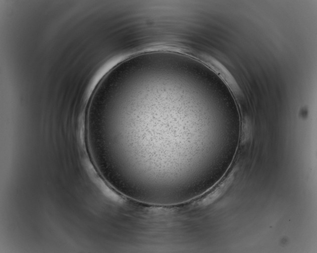 X0000101440812200807141305