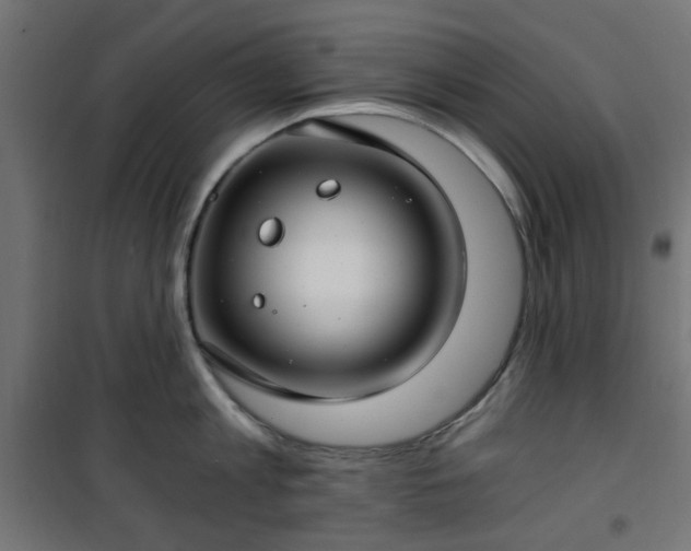 X0000101440813200807141305