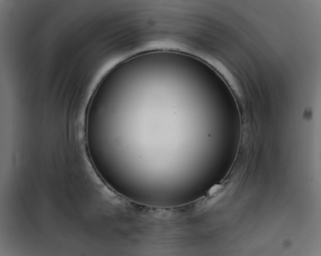 X0000101440815200807141305