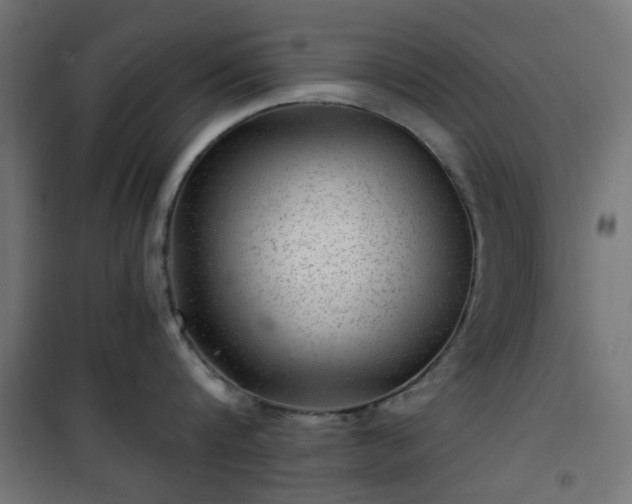 X0000101440816200807141304