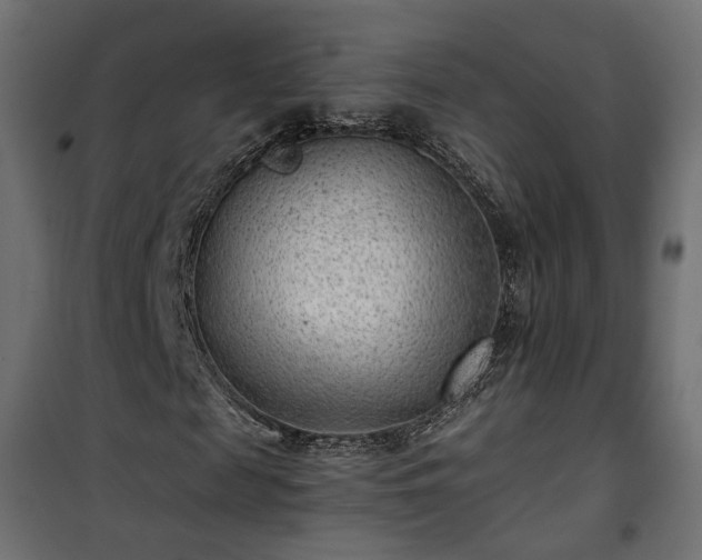 X0000101440817200807141304