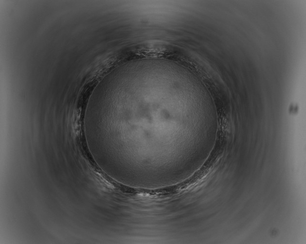 X0000101440818200807141304